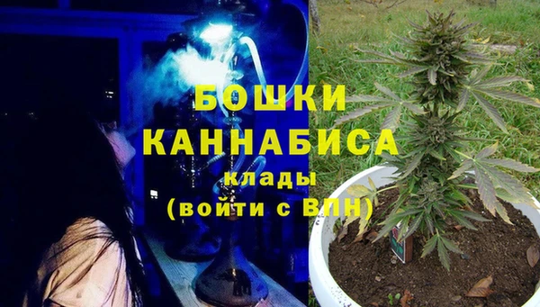СК Бородино