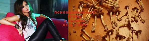 МДПВ Бугульма