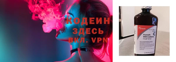 СК Бородино